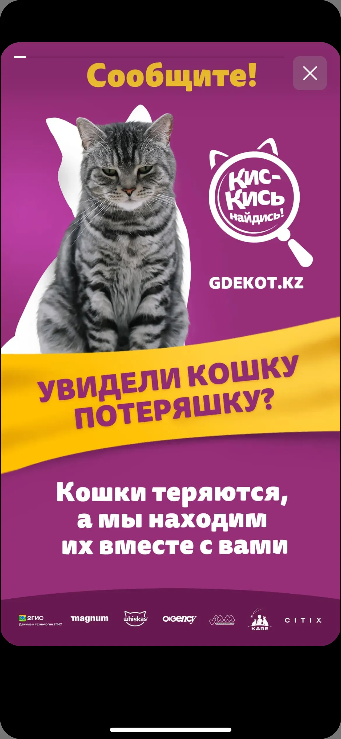 скриншот