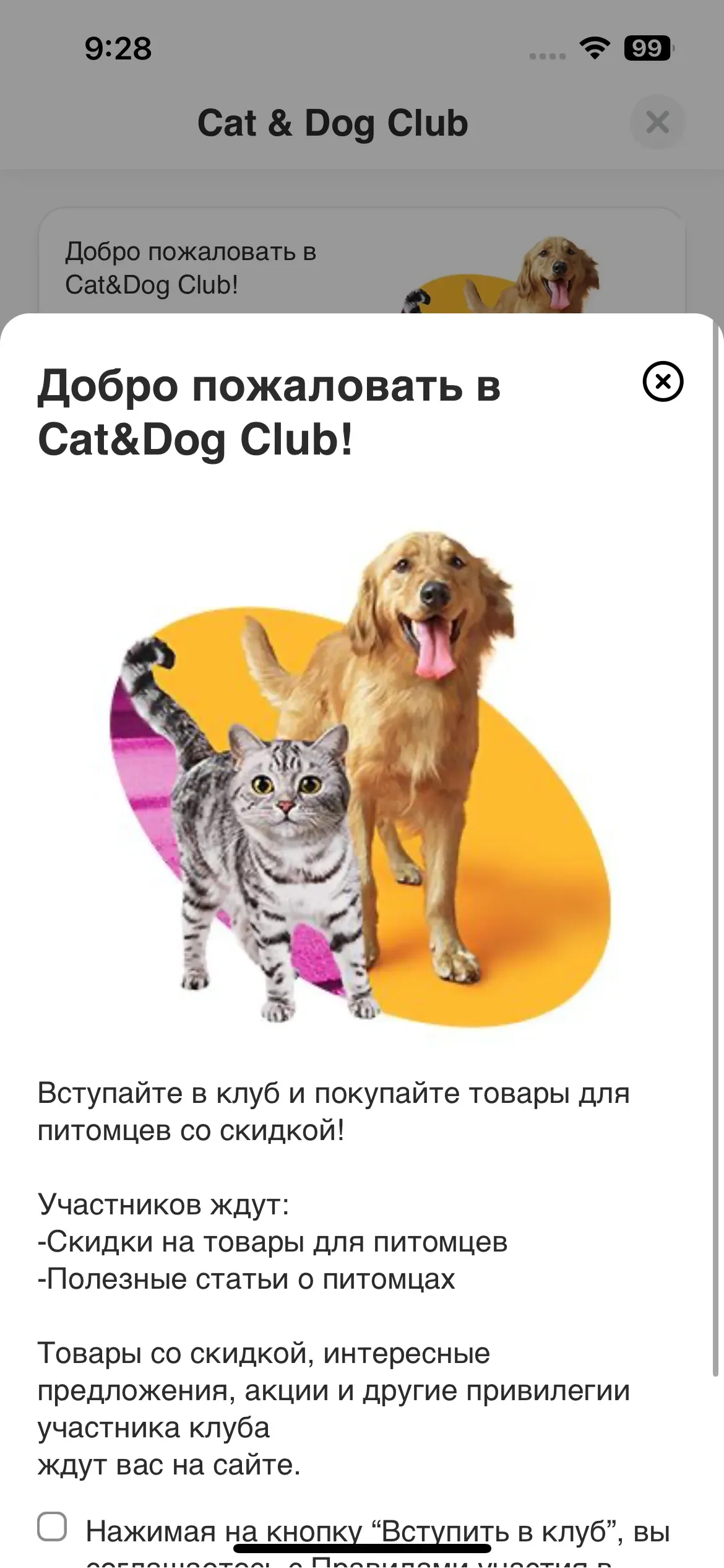 скриншот